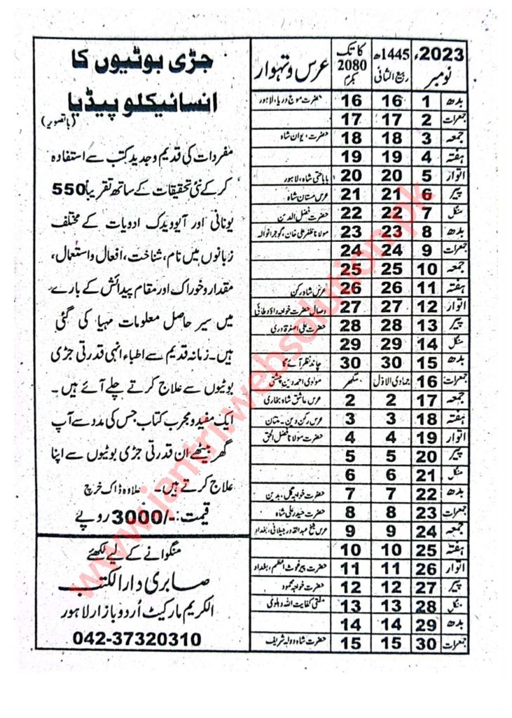 Jantri Urdu Punjabi November 2023